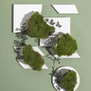 ALAI RETAIL DESIGN STUDIO